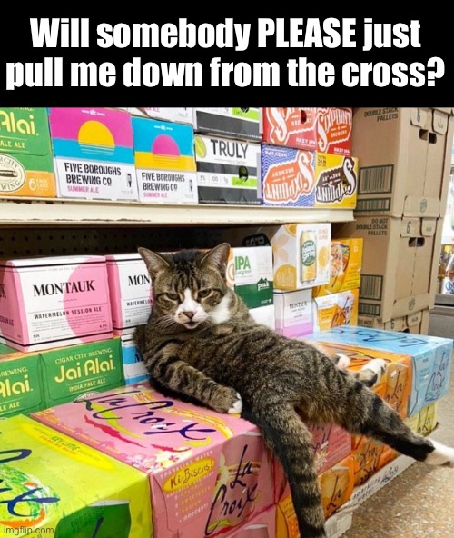 La Croix (translation: The Cross) | Will somebody PLEASE just pull me down from the cross? | image tagged in funny memes,funny cat memes | made w/ Imgflip meme maker