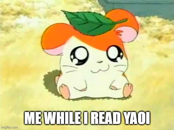 Hamtaro | ME WHILE I READ YAOI | image tagged in memes,hamtaro | made w/ Imgflip meme maker