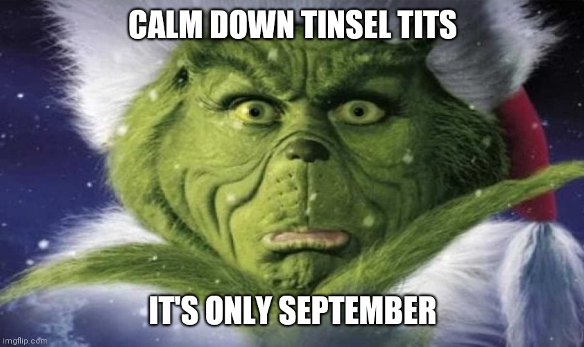 grinch | CALM DOWN TINSEL TITS; IT'S ONLY SEPTEMBER | image tagged in grinch,christmas | made w/ Imgflip meme maker