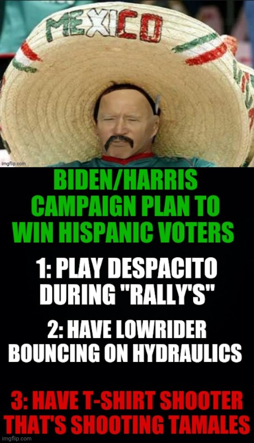 Joe Biden The Despacito Incident | image tagged in despacito,joe biden,kamala harris,drstrangmeme,election 2020,democrat party | made w/ Imgflip meme maker