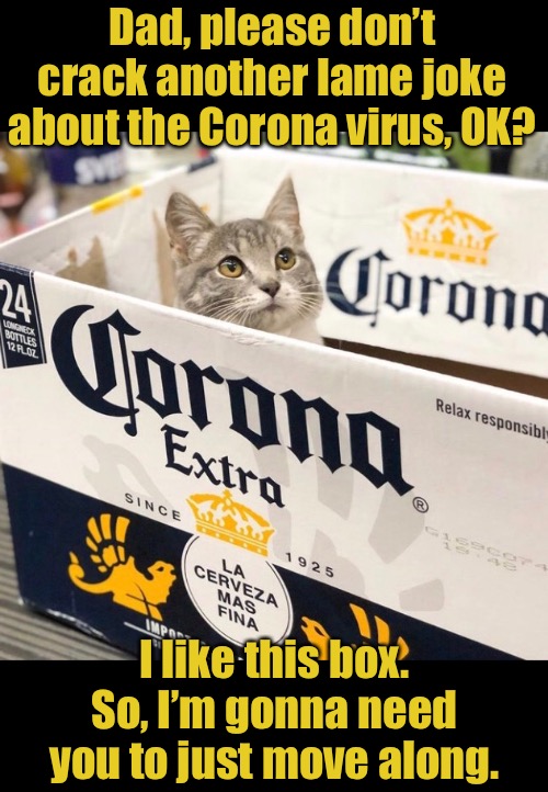 El Gato Mas Fina | Dad, please don’t crack another lame joke about the Corona virus, OK? I like this box. So, I’m gonna need you to just move along. | image tagged in funny memes,funny cat memes | made w/ Imgflip meme maker
