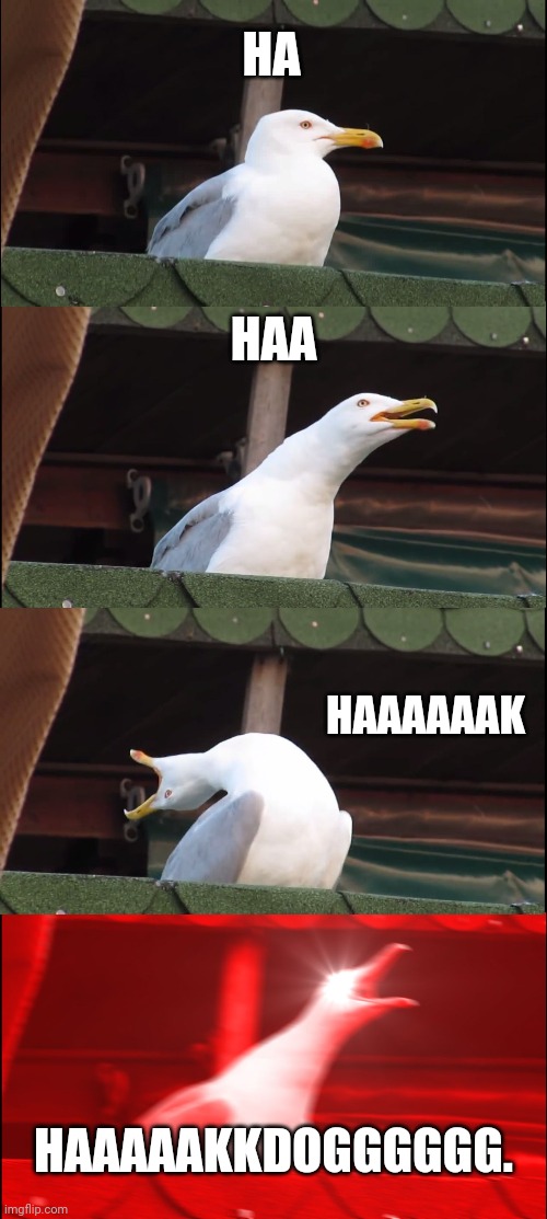 Inhaling Seagull Meme | HA; HAA; HAAAAAAK; HAAAAAKKDOGGGGGG. | image tagged in memes,inhaling seagull | made w/ Imgflip meme maker