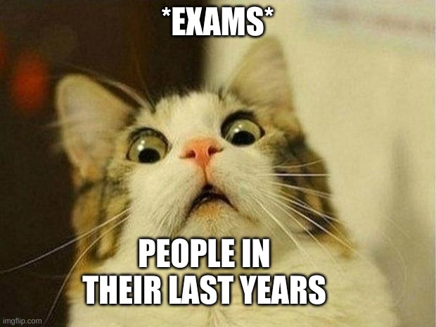 Scared Cat Meme | *EXAMS*; PEOPLE IN THEIR LAST YEARS | image tagged in memes,scared cat | made w/ Imgflip meme maker