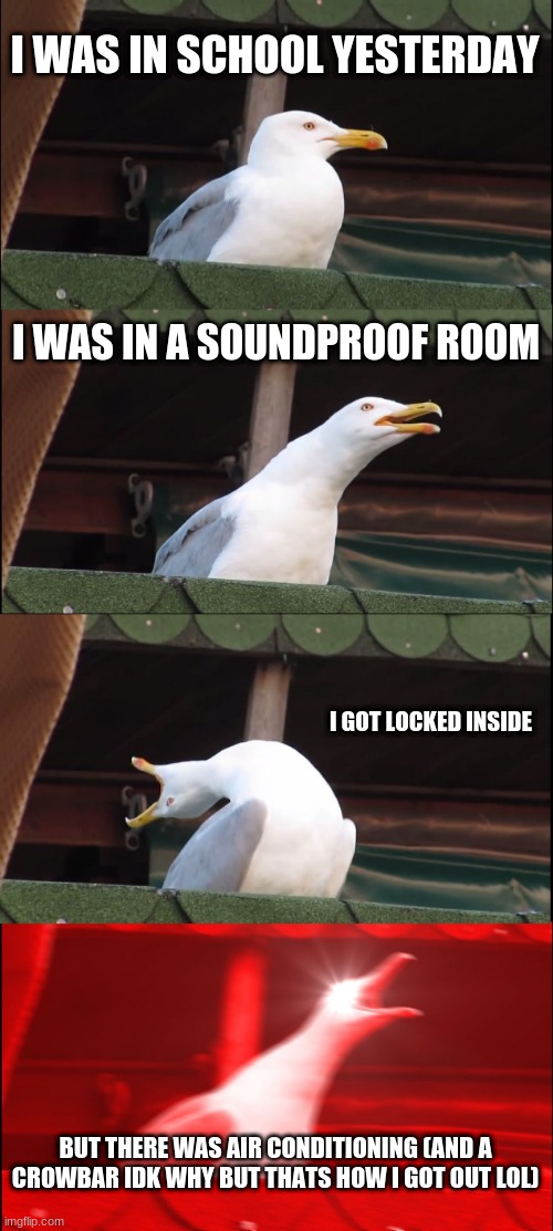 at least there was air conditioning. | I WAS IN SCHOOL YESTERDAY; I WAS IN A SOUNDPROOF ROOM; I GOT LOCKED INSIDE; BUT THERE WAS AIR CONDITIONING (AND A CROWBAR IDK WHY BUT THATS HOW I GOT OUT LOL) | image tagged in memes,inhaling seagull | made w/ Imgflip meme maker