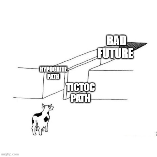 I have a new stream https://imgflip.com/m/Anti_Hypocrite | BAD FUTURE; TICTOC PATH; HYPOCRITE PATH | image tagged in the illusion of free choice blank | made w/ Imgflip meme maker