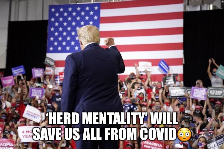 'Herd mentality': Trump again asserts coronavirus will just 'disappear' | ‘HERD MENTALITY’ WILL SAVE US ALL FROM COVID😳 | image tagged in donald trump,herd mentality,coronavirus,moron,basket of deplorables,trump supporters | made w/ Imgflip meme maker