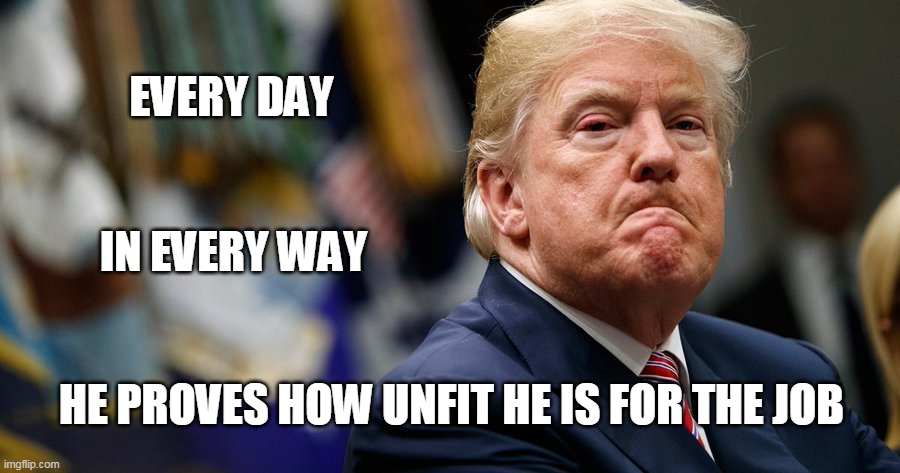EVERY DAY; IN EVERY WAY; HE PROVES HOW UNFIT HE IS FOR THE JOB | image tagged in trump | made w/ Imgflip meme maker
