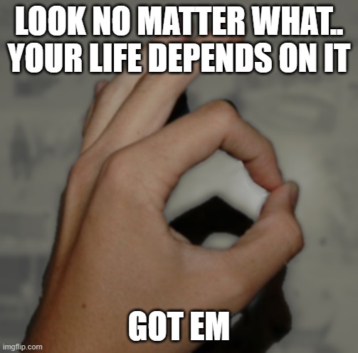 Made You Look Hand | LOOK NO MATTER WHAT.. YOUR LIFE DEPENDS ON IT; GOT EM | image tagged in made you look hand | made w/ Imgflip meme maker