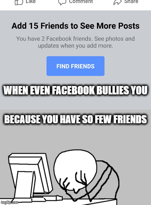 WHEN EVEN FACEBOOK BULLIES YOU; BECAUSE YOU HAVE SO FEW FRIENDS | image tagged in memes,computer guy facepalm,facebook,friends | made w/ Imgflip meme maker