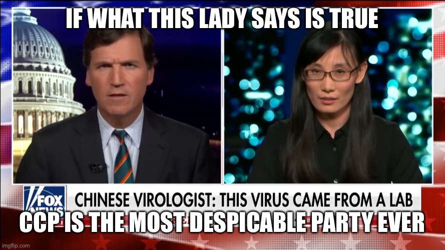 https://youtu.be/qFlqXPl_hZQ for source | IF WHAT THIS LADY SAYS IS TRUE; CCP IS THE MOST DESPICABLE PARTY EVER | image tagged in china,coronavirus,tucker carlson | made w/ Imgflip meme maker