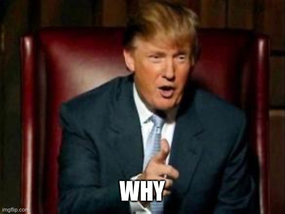 Donald Trump | WHY | image tagged in donald trump | made w/ Imgflip meme maker