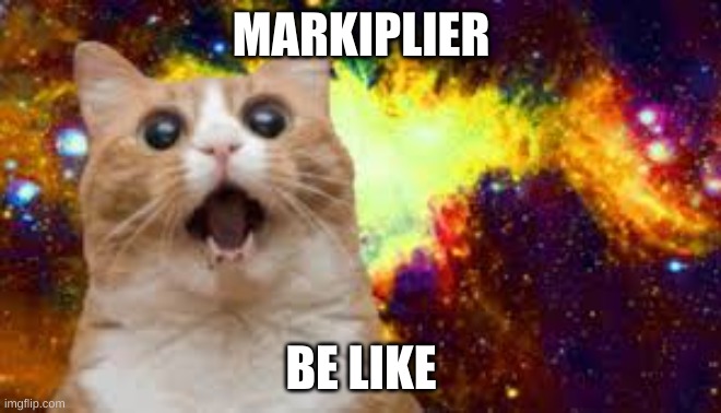 markiplier be like | MARKIPLIER; BE LIKE | image tagged in cats | made w/ Imgflip meme maker