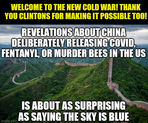 Remember, you can't fight an enemy you are already in bed with. | WELCOME TO THE NEW COLD WAR! THANK YOU CLINTONS FOR MAKING IT POSSIBLE TOO! REVELATIONS ABOUT CHINA DELIBERATELY RELEASING COVID, FENTANYL, OR MURDER BEES IN THE US; IS ABOUT AS SURPRISING AS SAYING THE SKY IS BLUE | image tagged in great wall of china,boycott,control | made w/ Imgflip meme maker
