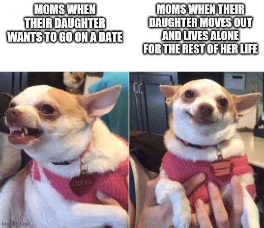 angry chihuahua happy chihuahua | MOMS WHEN THEIR DAUGHTER WANTS TO GO ON A DATE; MOMS WHEN THEIR DAUGHTER MOVES OUT AND LIVES ALONE FOR THE REST OF HER LIFE | image tagged in angry chihuahua happy chihuahua | made w/ Imgflip meme maker