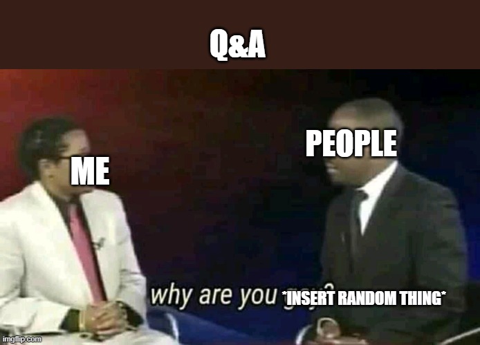 ask me anything | Q&A; PEOPLE; ME; *INSERT RANDOM THING* | image tagged in why are you gay | made w/ Imgflip meme maker