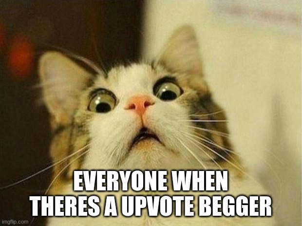 Scared Cat Meme | EVERYONE WHEN THERES A UPVOTE BEGGER | image tagged in memes,scared cat | made w/ Imgflip meme maker