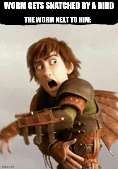 Httyd | WORM GETS SNATCHED BY A BIRD; THE WORM NEXT TO HIM: | image tagged in httyd | made w/ Imgflip meme maker