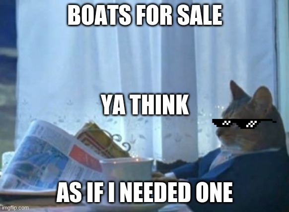 Cat wants boat | BOATS FOR SALE; YA THINK; AS IF I NEEDED ONE | image tagged in memes,i should buy a boat cat | made w/ Imgflip meme maker
