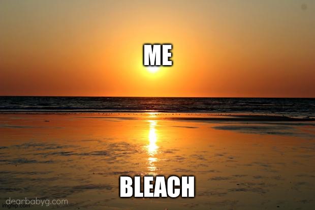 beach sunset | ME; BLEACH | image tagged in beach sunset | made w/ Imgflip meme maker