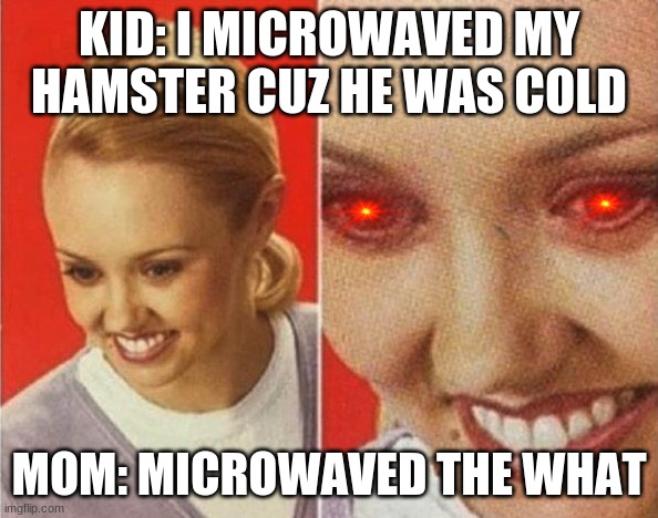 the WHAT | KID: I MICROWAVED MY HAMSTER CUZ HE WAS COLD; MOM: MICROWAVED THE WHAT | image tagged in the what | made w/ Imgflip meme maker