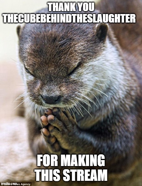 Thank you Lord Otter | THANK YOU THECUBEBEHINDTHESLAUGHTER; FOR MAKING THIS STREAM | image tagged in thank you lord otter | made w/ Imgflip meme maker