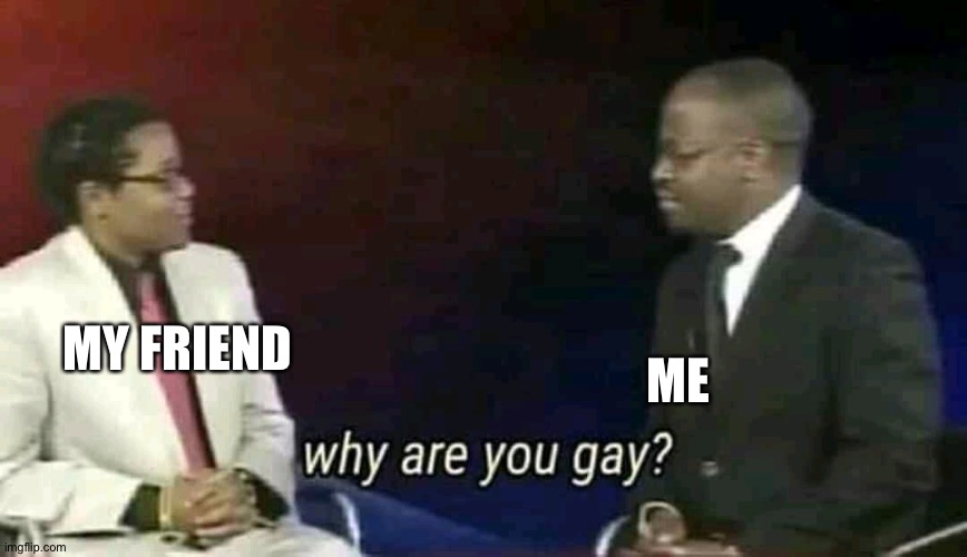 Why are you gay? | ME; MY FRIEND | image tagged in why are you gay | made w/ Imgflip meme maker
