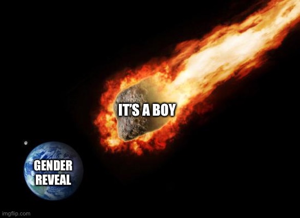 Gender reveal | IT’S A BOY; GENDER REVEAL | image tagged in jackass giant asteroid | made w/ Imgflip meme maker