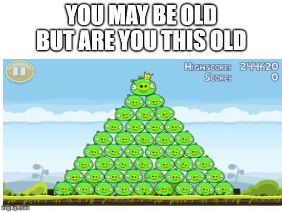 Angry Birds | YOU MAY BE OLD BUT ARE YOU THIS OLD | image tagged in angry birds,angry birds pig,memes | made w/ Imgflip meme maker
