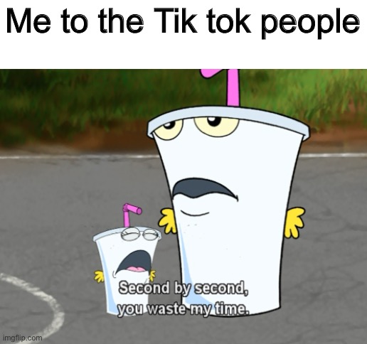 Second by second, you waste my time | Me to the Tik tok people | image tagged in second by second you waste my time | made w/ Imgflip meme maker
