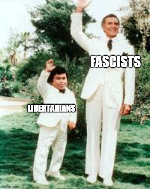 FASCISTS; LIBERTARIANS | image tagged in libertarian | made w/ Imgflip meme maker
