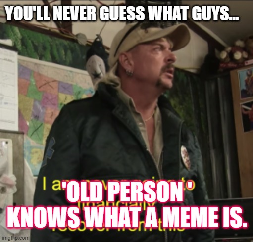 Joe Exotic Financially Recover | YOU'LL NEVER GUESS WHAT GUYS... 'OLD PERSON ' KNOWS WHAT A MEME IS. | image tagged in joe exotic financially recover | made w/ Imgflip meme maker