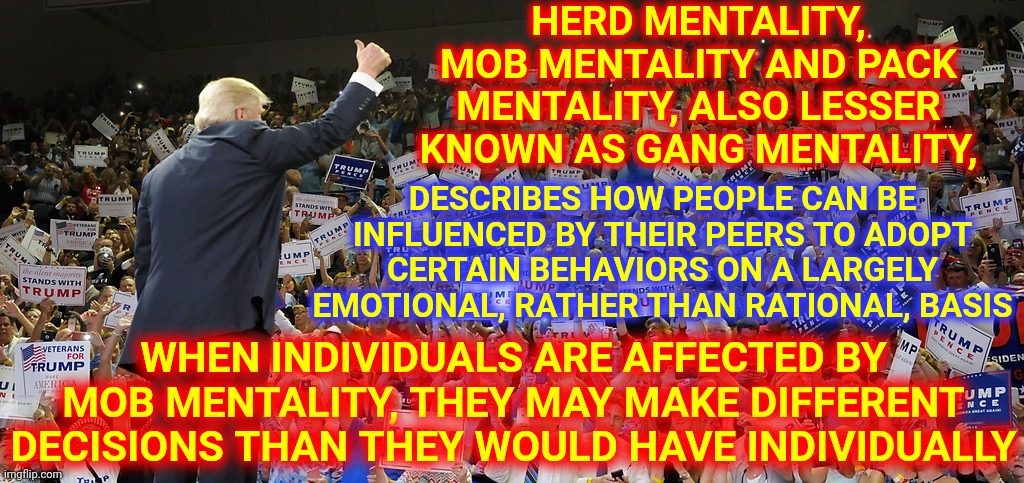 Trump Knows Exactly Who His Peeps Are | HERD MENTALITY, MOB MENTALITY AND PACK MENTALITY, ALSO LESSER KNOWN AS GANG MENTALITY, DESCRIBES HOW PEOPLE CAN BE INFLUENCED BY THEIR PEERS TO ADOPT CERTAIN BEHAVIORS ON A LARGELY EMOTIONAL, RATHER THAN RATIONAL, BASIS; WHEN INDIVIDUALS ARE AFFECTED BY MOB MENTALITY, THEY MAY MAKE DIFFERENT DECISIONS THAN THEY WOULD HAVE INDIVIDUALLY | image tagged in trump rally,memes,trump unfit unqualified dangerous,liar in chief,lock him up,crimes against humanity | made w/ Imgflip meme maker