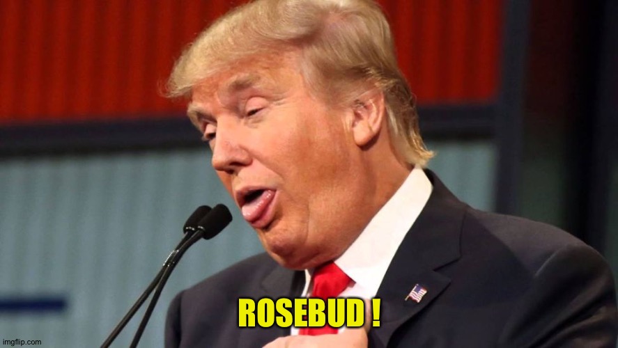 Citizen Trump | ROSEBUD ! | image tagged in stupid trump | made w/ Imgflip meme maker