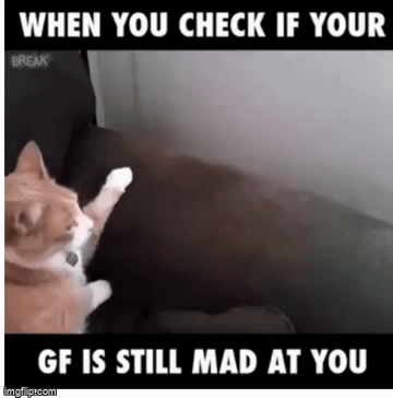 4f63s6.gif