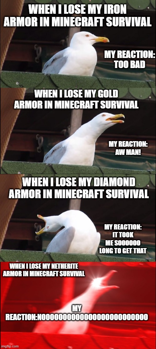 Armor loss reactions | WHEN I LOSE MY IRON ARMOR IN MINECRAFT SURVIVAL; MY REACTION: TOO BAD; WHEN I LOSE MY GOLD ARMOR IN MINECRAFT SURVIVAL; MY REACTION: AW MAN! WHEN I LOSE MY DIAMOND ARMOR IN MINECRAFT SURVIVAL; MY REACTION: IT TOOK ME SOOOOOO LONG TO GET THAT; WHEN I LOSE MY NETHERITE ARMOR IN MINECRAFT SURVIVAL; MY REACTION:NOOOOOOOOOOOOOOOOOOOOOOOOO | image tagged in memes,inhaling seagull | made w/ Imgflip meme maker