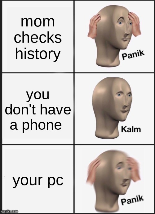 Panik Kalm Panik Meme | mom checks history; you don't have a phone; your pc | image tagged in memes,panik kalm panik | made w/ Imgflip meme maker