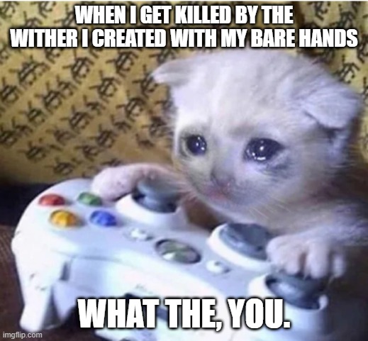 Revenge on the wither | WHEN I GET KILLED BY THE WITHER I CREATED WITH MY BARE HANDS; WHAT THE, YOU. | image tagged in sad gaming cat | made w/ Imgflip meme maker