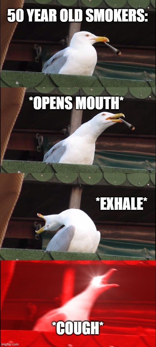 Inhaling Seagull | 50 YEAR OLD SMOKERS:; *OPENS MOUTH*; *EXHALE*; *COUGH* | image tagged in memes,inhaling seagull | made w/ Imgflip meme maker