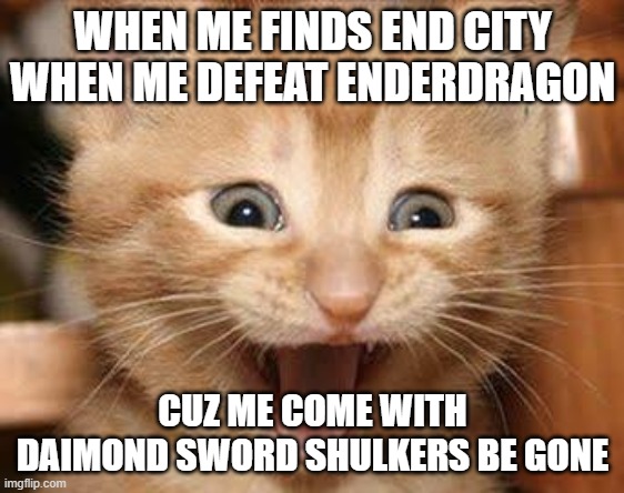 End city | WHEN ME FINDS END CITY WHEN ME DEFEAT ENDERDRAGON; CUZ ME COME WITH DAIMOND SWORD SHULKERS BE GONE | image tagged in memes,excited cat | made w/ Imgflip meme maker