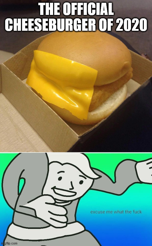 THE OFFICIAL CHEESEBURGER OF 2020 | image tagged in you had one job,fallout boy excuse me wyf | made w/ Imgflip meme maker