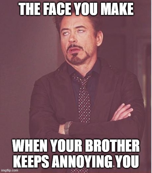 Face You Make Robert Downey Jr | THE FACE YOU MAKE; WHEN YOUR BROTHER KEEPS ANNOYING YOU | image tagged in memes,face you make robert downey jr | made w/ Imgflip meme maker