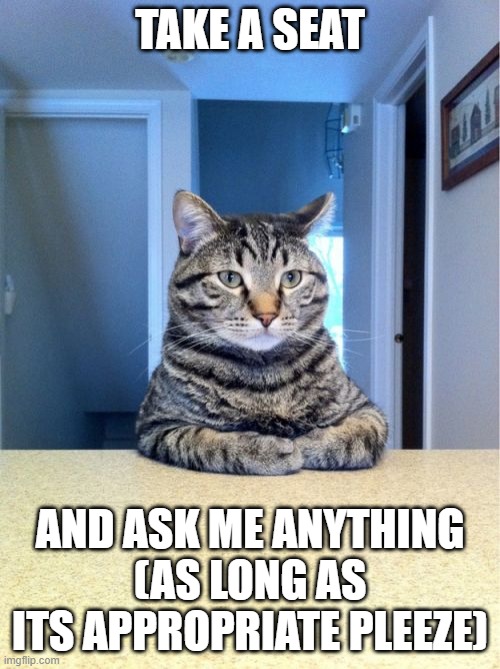 AMA |  TAKE A SEAT; AND ASK ME ANYTHING (AS LONG AS ITS APPROPRIATE PLEEZE) | image tagged in memes,take a seat cat,i have no idea what i am doing,bad ideas,lol,the end is near | made w/ Imgflip meme maker