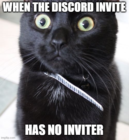 discord is drunk | WHEN THE DISCORD INVITE; HAS NO INVITER | image tagged in memes,woah kitty | made w/ Imgflip meme maker
