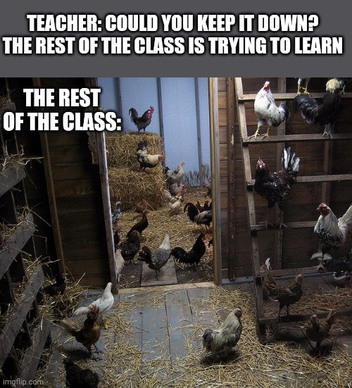 TEACHER: COULD YOU KEEP IT DOWN? THE REST OF THE CLASS IS TRYING TO LEARN; THE REST OF THE CLASS: | image tagged in funny memes | made w/ Imgflip meme maker