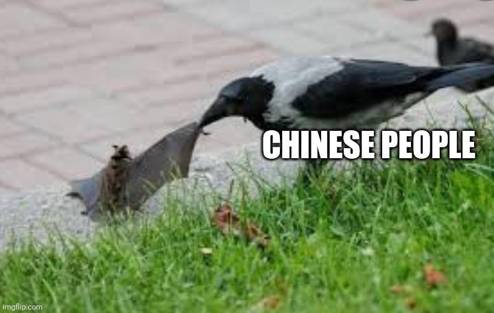 Is this food? | CHINESE PEOPLE | image tagged in coronavirus | made w/ Imgflip meme maker
