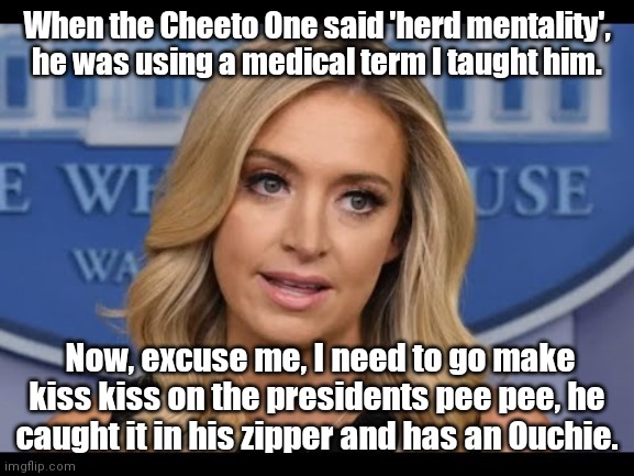 Kayleigh Mcenany | When the Cheeto One said 'herd mentality', he was using a medical term I taught him. Now, excuse me, I need to go make kiss kiss on the presidents pee pee, he caught it in his zipper and has an Ouchie. | image tagged in kayleigh mcenany | made w/ Imgflip meme maker