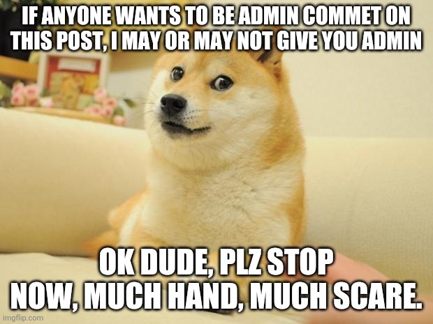 admin request | IF ANYONE WANTS TO BE ADMIN COMMET ON THIS POST, I MAY OR MAY NOT GIVE YOU ADMIN; OK DUDE, PLZ STOP NOW, MUCH HAND, MUCH SCARE. | image tagged in memes,doge 2 | made w/ Imgflip meme maker