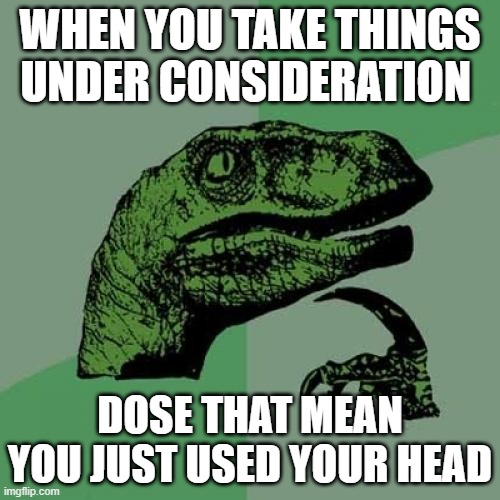 bord | WHEN YOU TAKE THINGS UNDER CONSIDERATION; DOSE THAT MEAN YOU JUST USED YOUR HEAD | image tagged in memes,philosoraptor | made w/ Imgflip meme maker