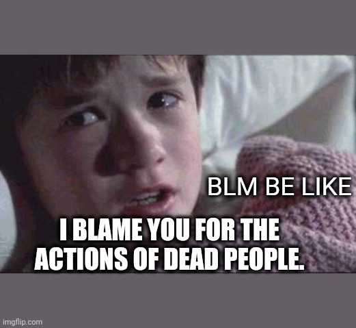 I See Dead People Meme | BLM BE LIKE; I BLAME YOU FOR THE ACTIONS OF DEAD PEOPLE. | image tagged in memes,i see dead people | made w/ Imgflip meme maker