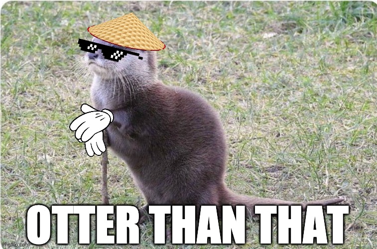 Otter Than That | OTTER THAN THAT | image tagged in otter spirit guide | made w/ Imgflip meme maker